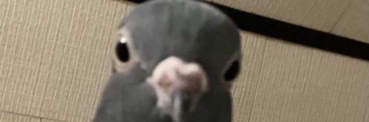 ⸸ Alesito ⸸ banner