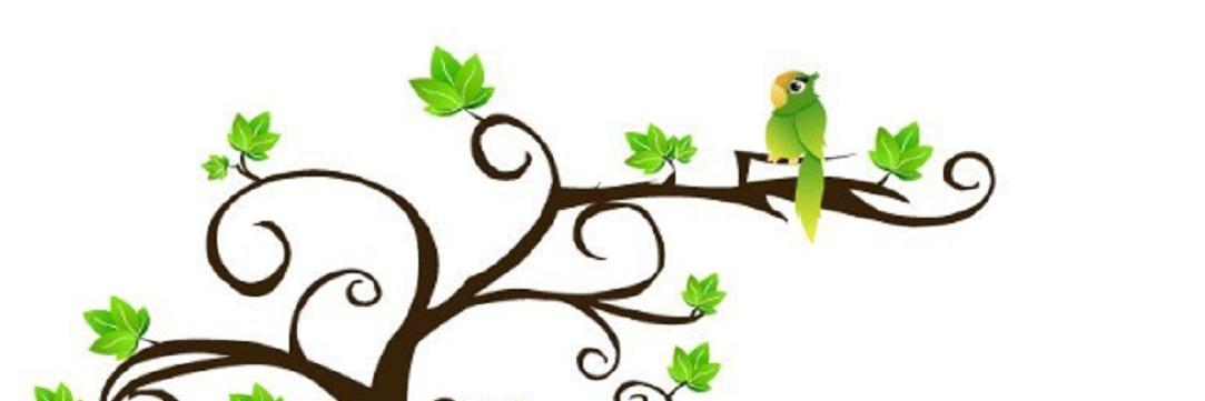 Michele Berdah banner
