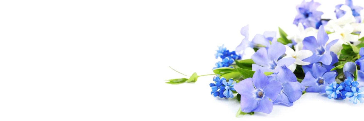bio100cia's profile banner image
