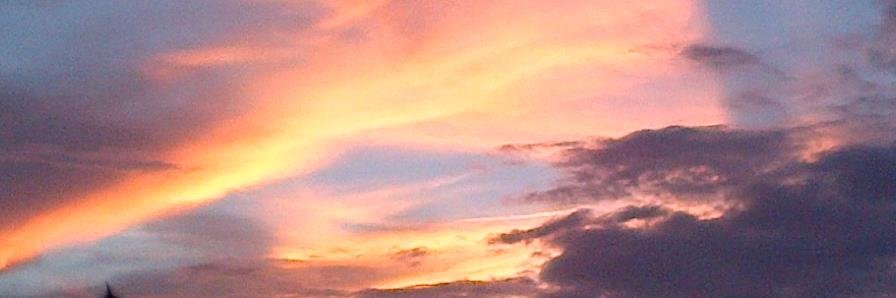 JoelleMSmith's profile banner image