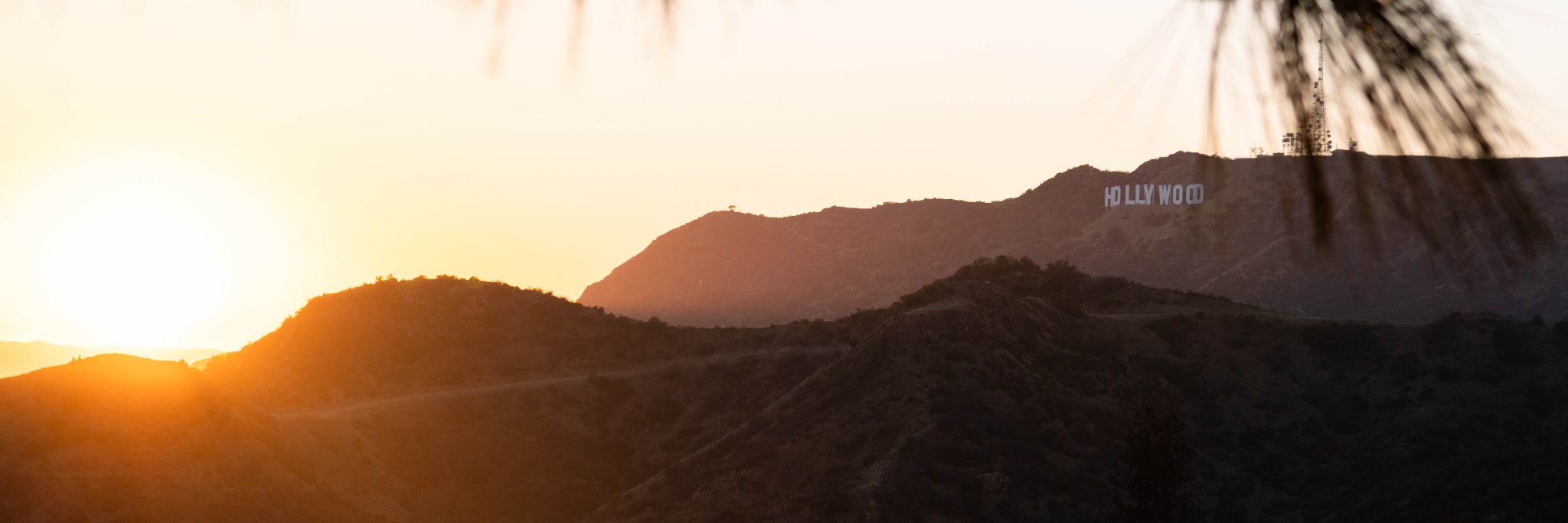 LewinHartmann's profile banner image