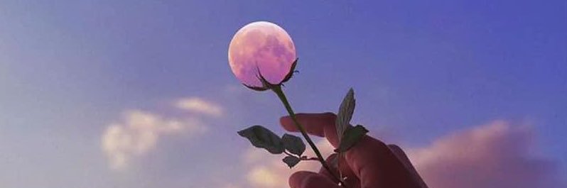 makdasnack's profile banner image
