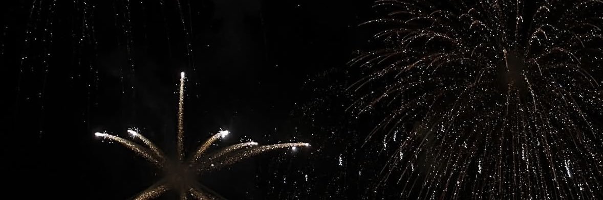 celestepedrazaa's profile banner image