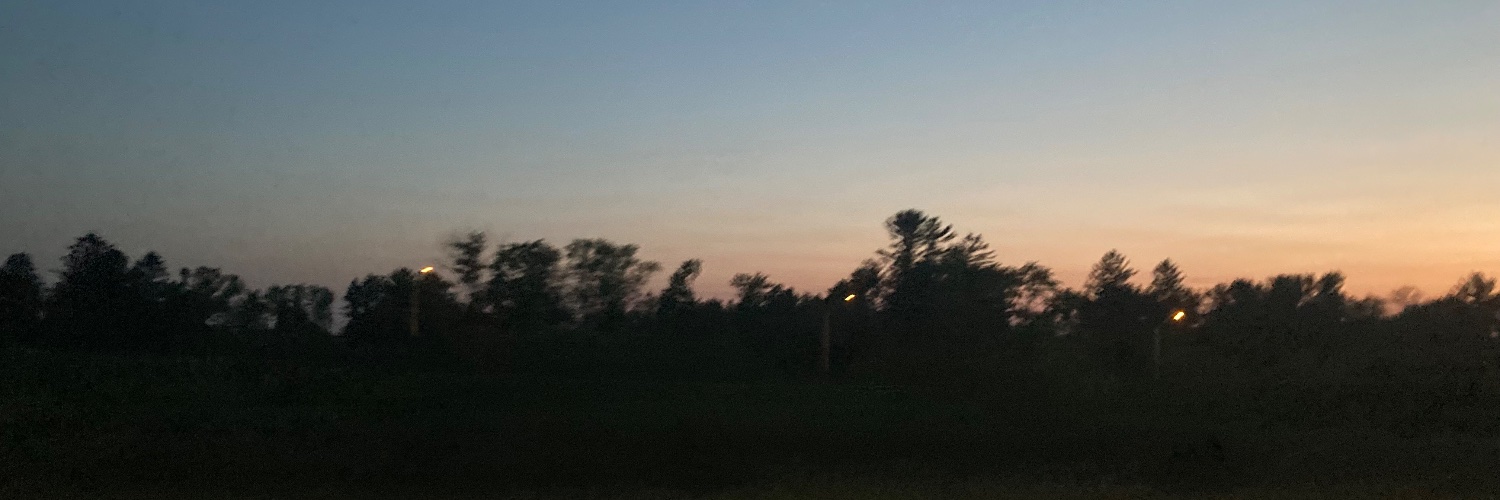 A_Too_Niche's profile banner image