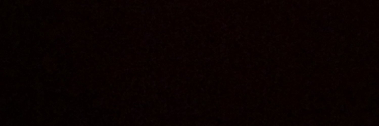 elchic013's profile banner image