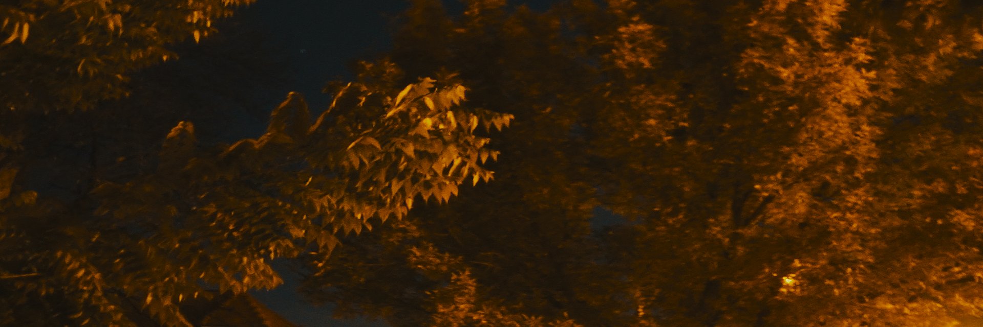 jak3's profile banner image