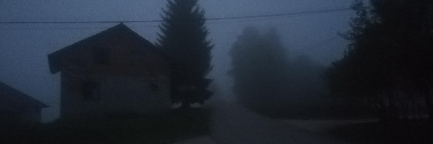 zemstanawroga's profile banner image