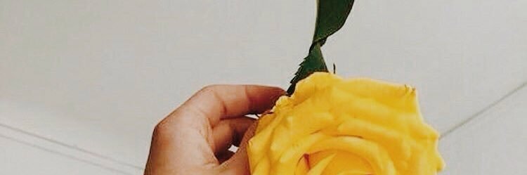 marklyss_'s profile banner image