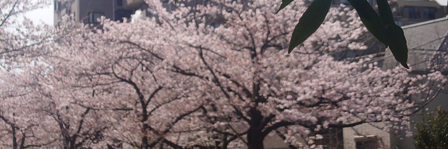 masae_0806's profile banner image