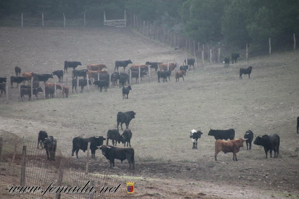 FINCA_ZAPATERIA's profile banner image