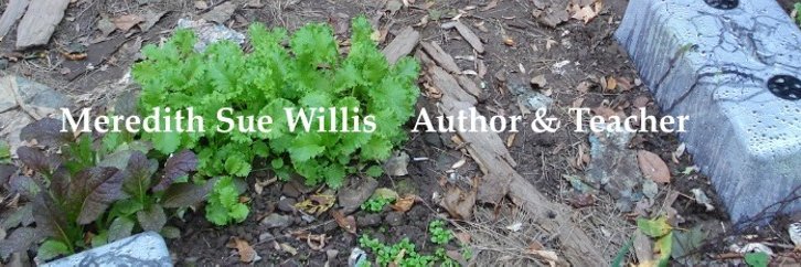MSueWillis's profile banner image