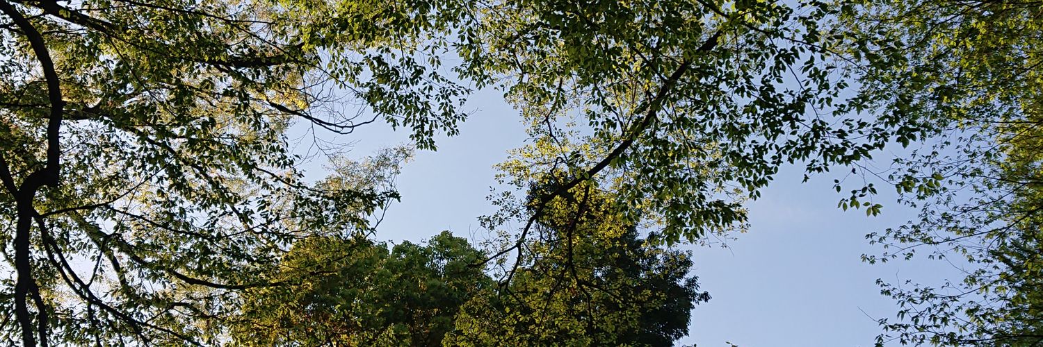 stunprally2's profile banner image