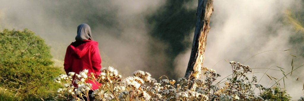 IsmailHasan0_0's profile banner image