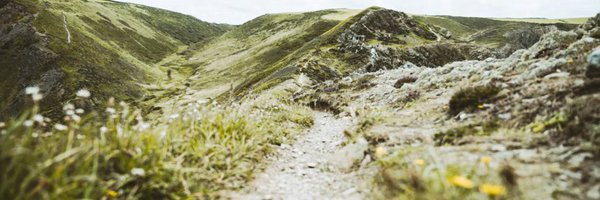 a_ullman Profile Banner