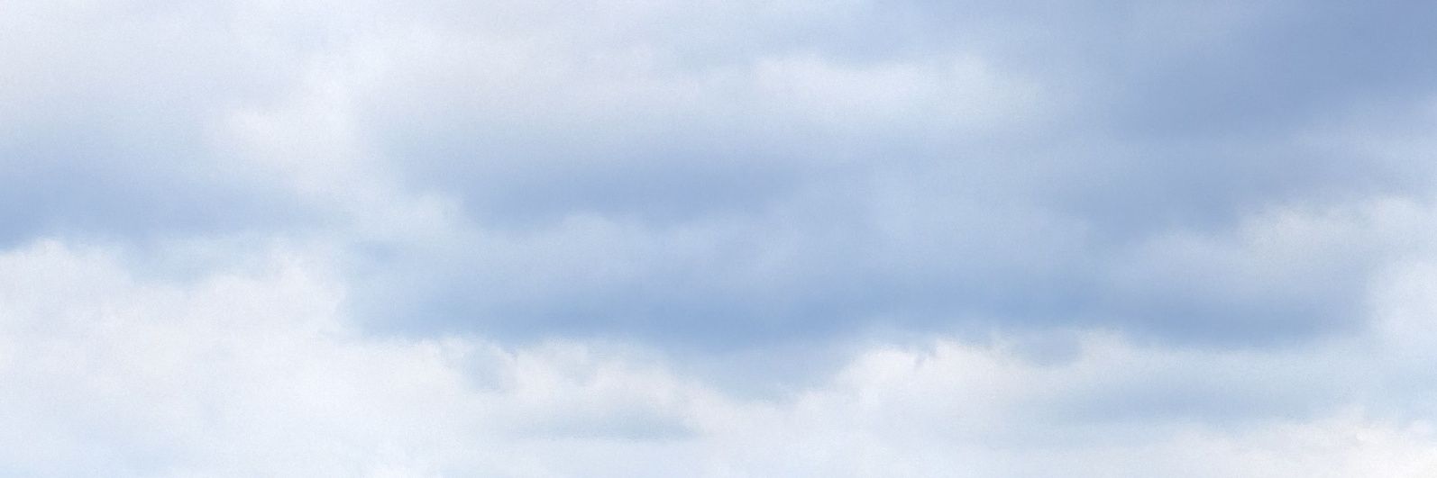 schamsolla's profile banner image
