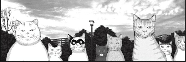 warpedbullet Profile Banner