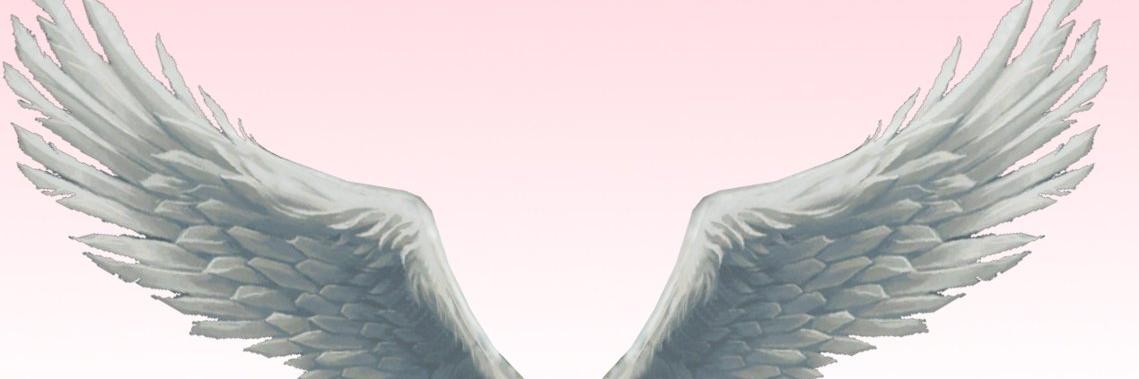 FXNL's profile banner image