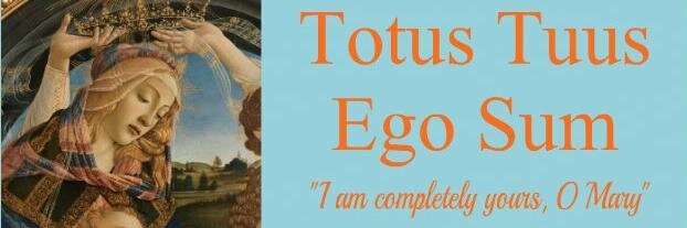 Saint John Paul II banner