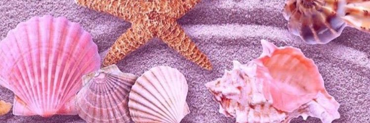 cnslaksu's profile banner image
