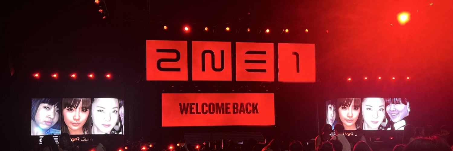 theonly_chaerin's profile banner image