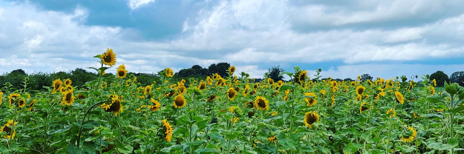 howarthlee23's profile banner image