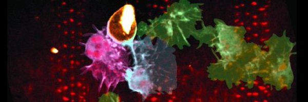 DavidsnDeathLab Profile Banner