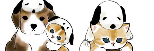 🌱めめ ◡̈ 1.11🦏 banner