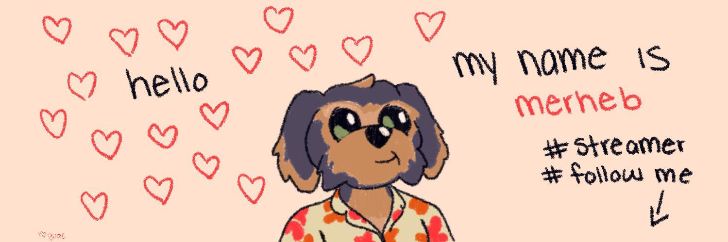 merheb (streamer arc) 🏴‍☠️⚓️🌊's banner