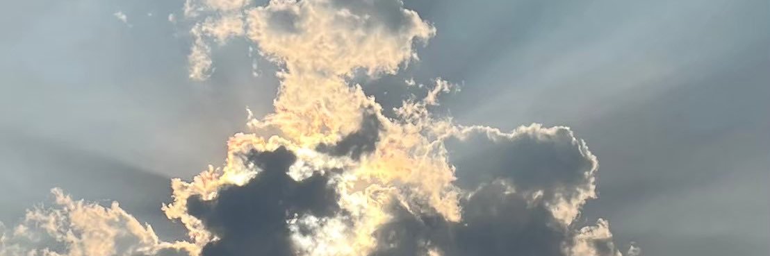 gualwaysbird's profile banner image