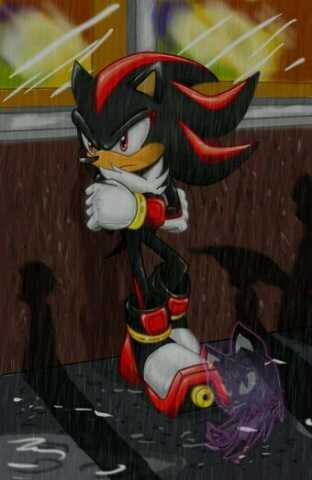 hedgehoShadow's profile banner image