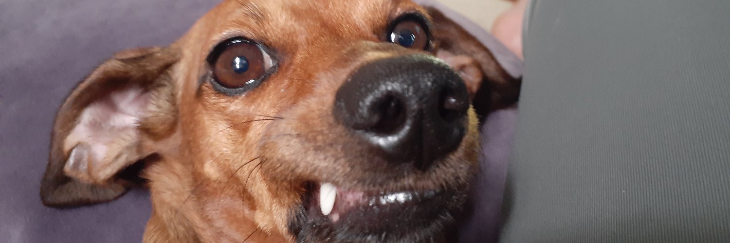 BethanieBoots's profile banner image
