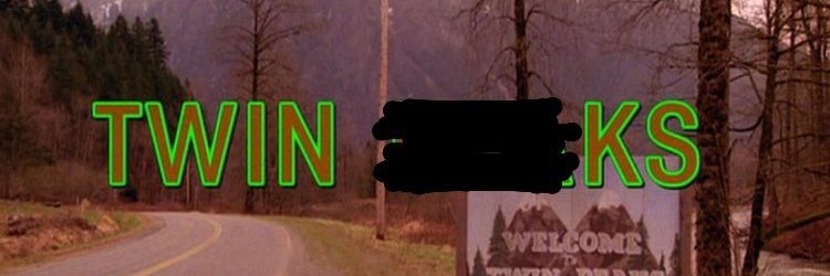 The Moral Vision's banner