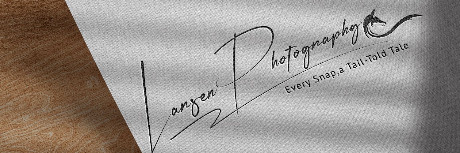 Larsen Photography📸 banner