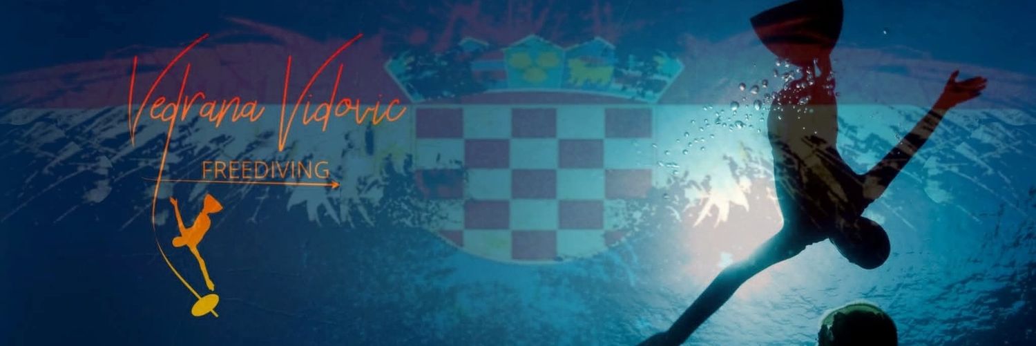 vedranavidovic's profile banner image