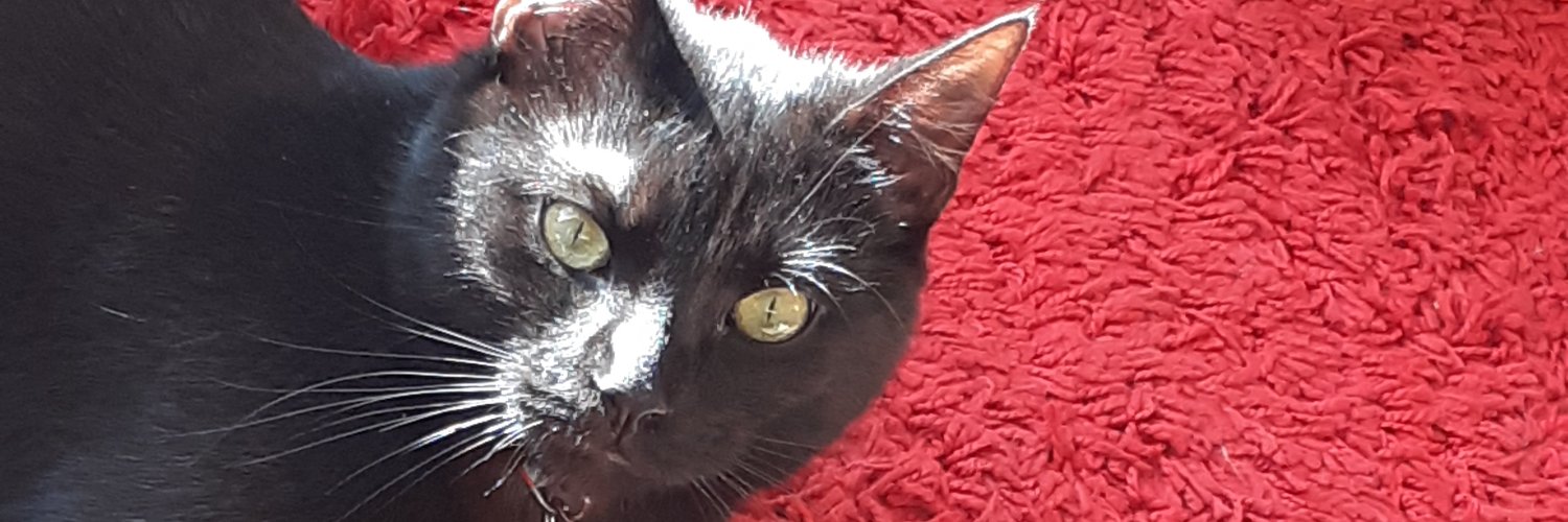 Dagmar_Fehrle2 banner