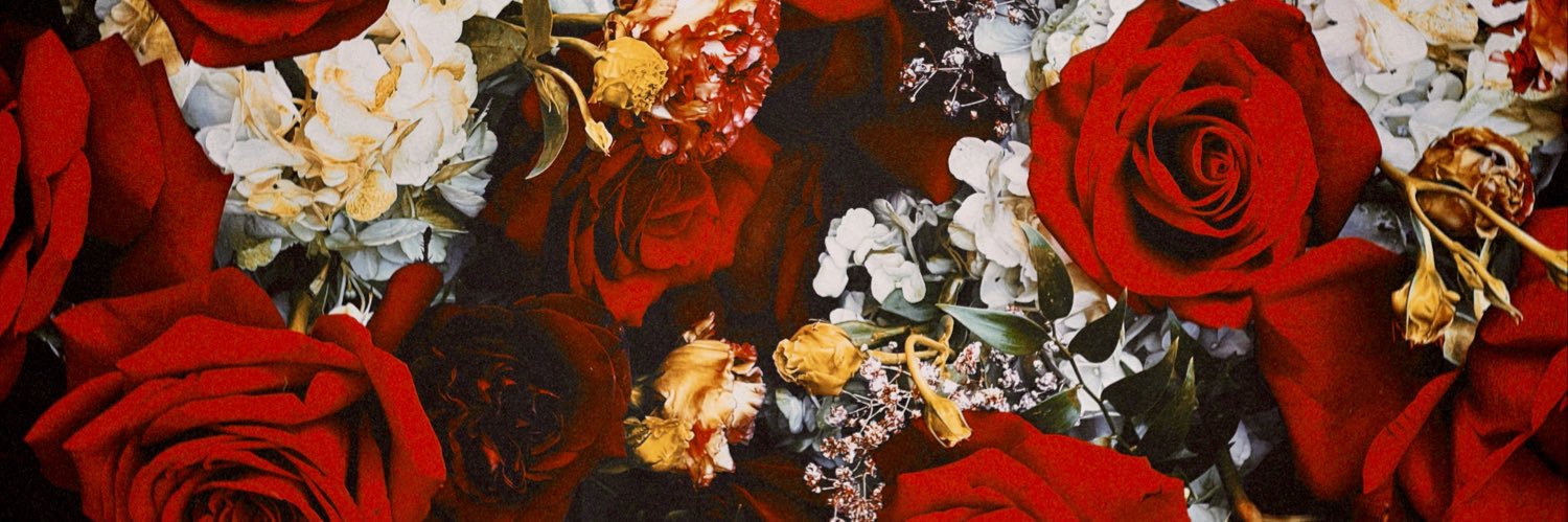 collinschonhoff's profile banner image