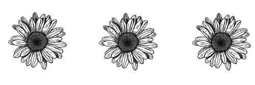 addisonswalsh's profile banner image