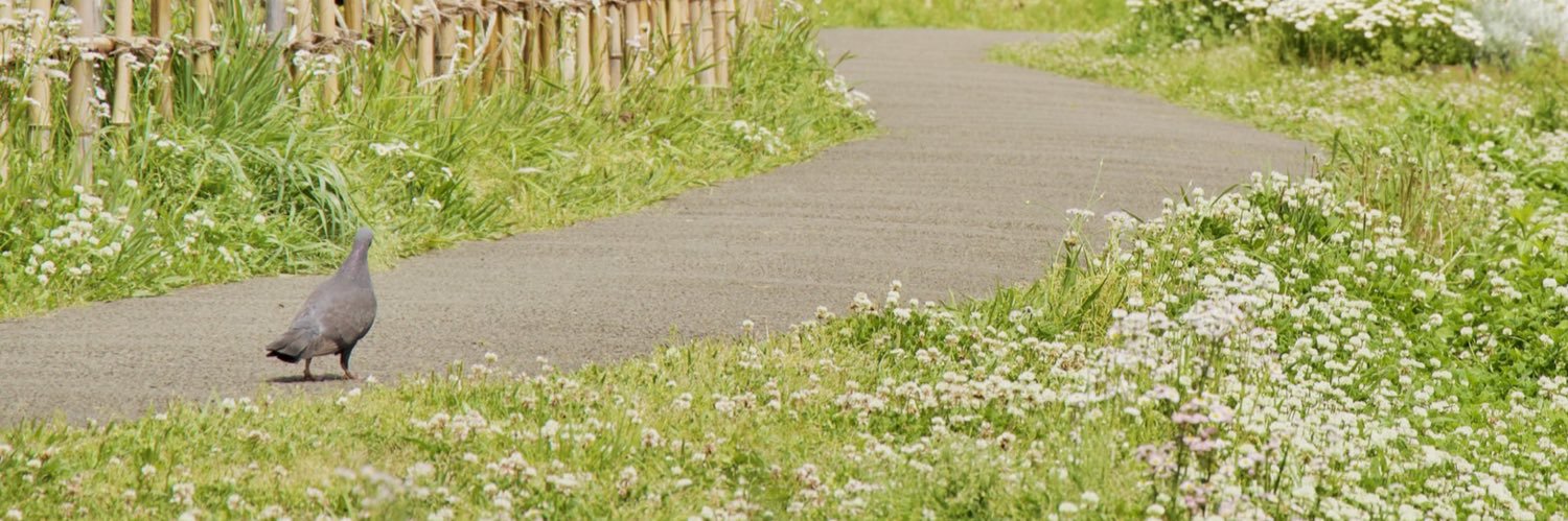 真島理一郎 banner