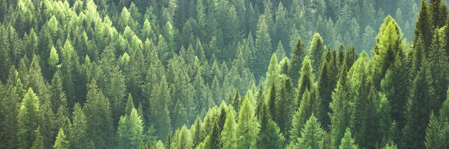ForRest - Big Data in Forest Recreation's banner