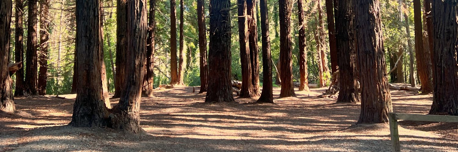 JustinCadelago's profile banner image
