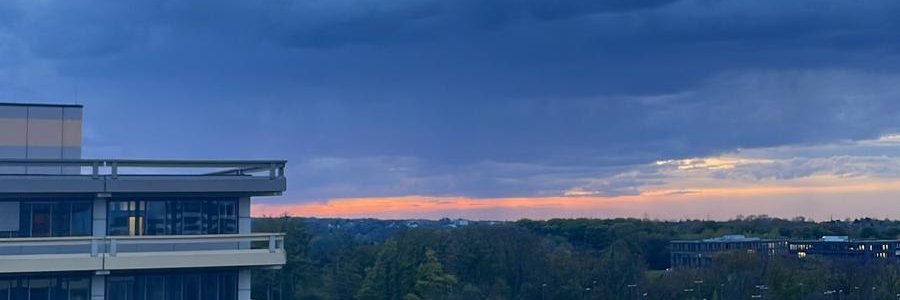 LewandowskiKira banner