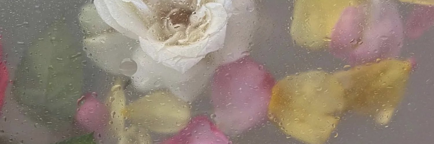 🍓 banner