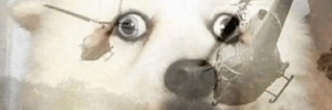 sergiofarias97's profile banner image