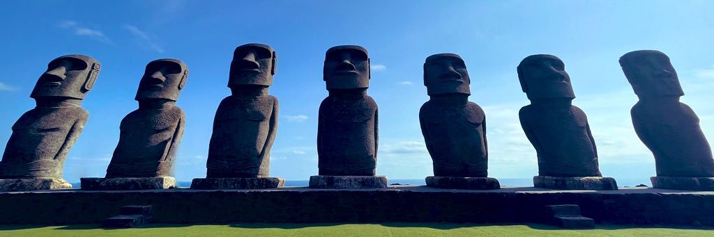 🗿キング・オブ・手ぶれ補正(リプ)🍊 banner