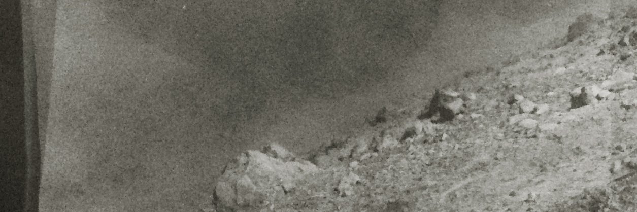 Natasha Frilingou banner