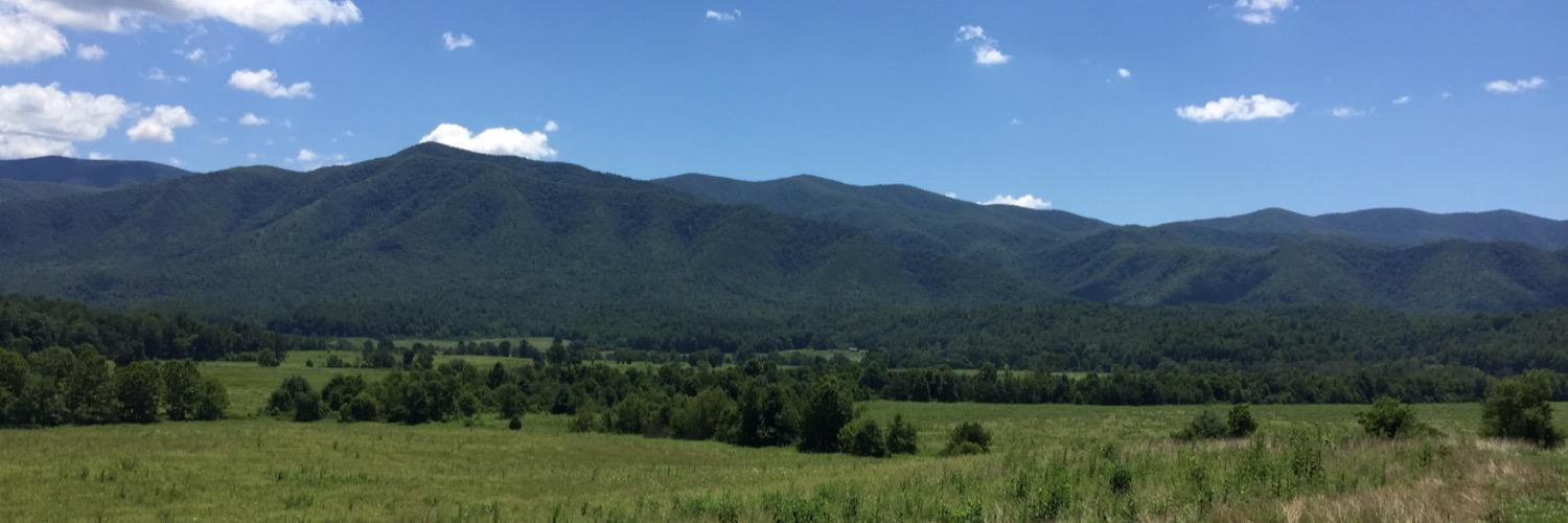 danielsanders banner