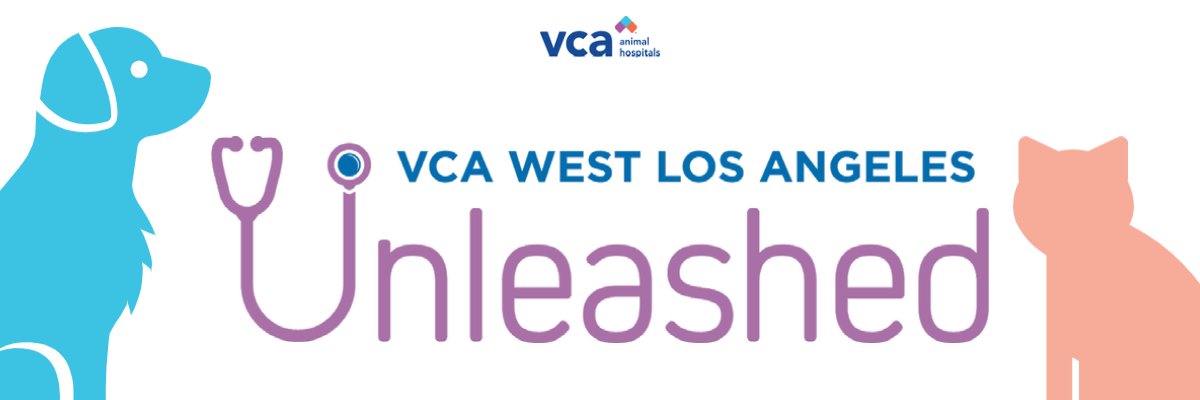 VCA West Los Angeles banner