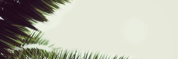Peoplevoiceforu Profile Banner