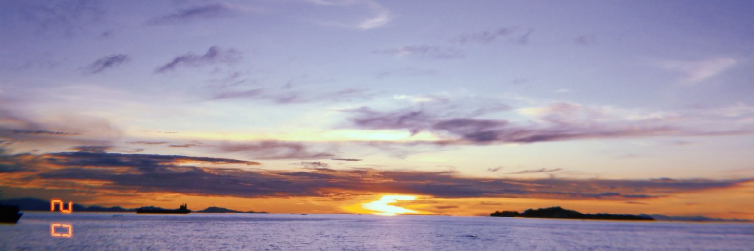 ccylps's profile banner image