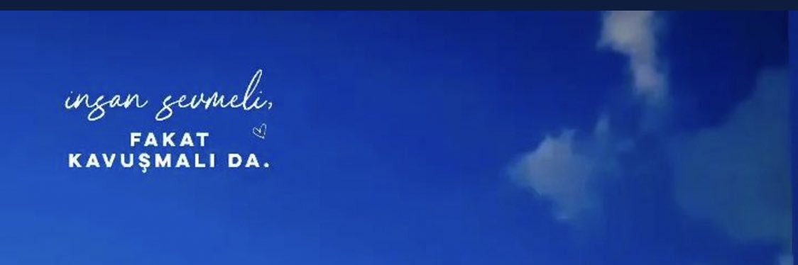 Zılan banner
